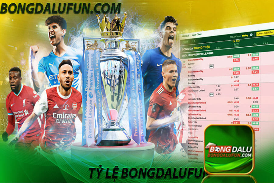 Tỷ lệ kèo bongdalu Là gì