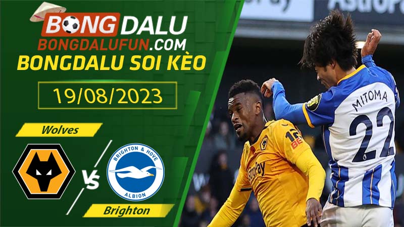 Bongdalu dự đoán tỷ số và Nhận định chuyên gia trận Wolves vs Brighton