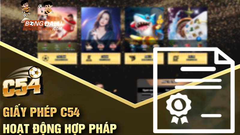 C54 là gì Giới thiệu sơ lược về nhà cái