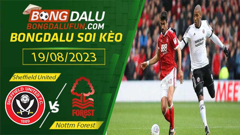 Chuyên gia nhận định và Bongdalu dự đoán tỷ số