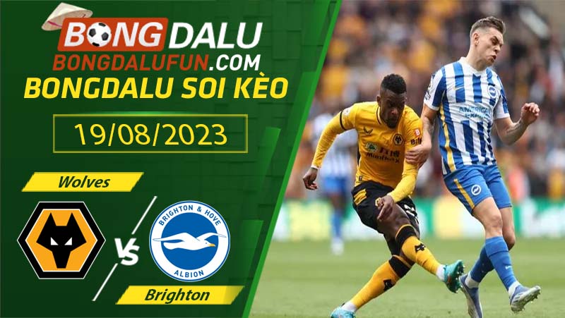 Lịch sử đối đầu Wolves vs Brighton gần đây nhất