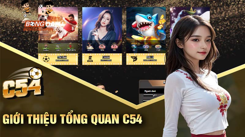 C54 | Link Vào Nhà Cái C54 Đăng Ký Tặng 54K Thành Viên
