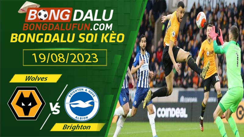 Nhận định Wolves vs Brighton phong độ và sức mạnh