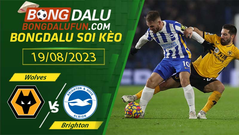 Nhận định Wolves vs Brighton