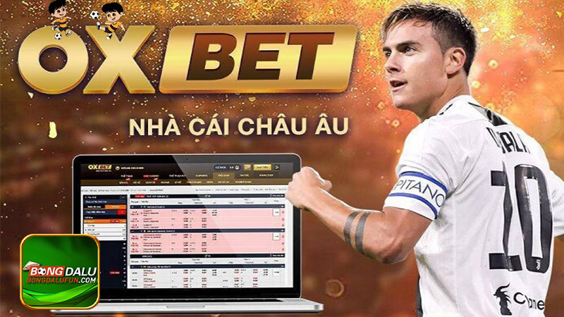 Oxbet - Đánh giá nhà cái Oxbet.com - Nhà cái Oxbet dubai 2023
