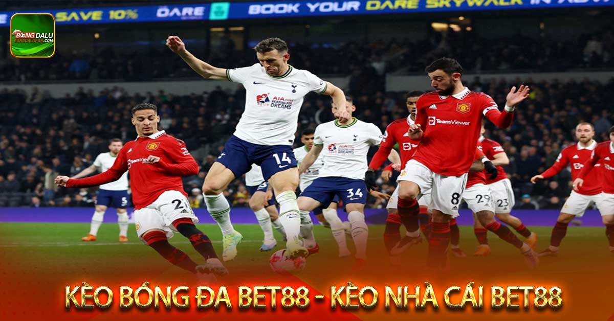 Những yếu tố ảnh hưởng và thau đổi tỷ lệ kèo bóng đá