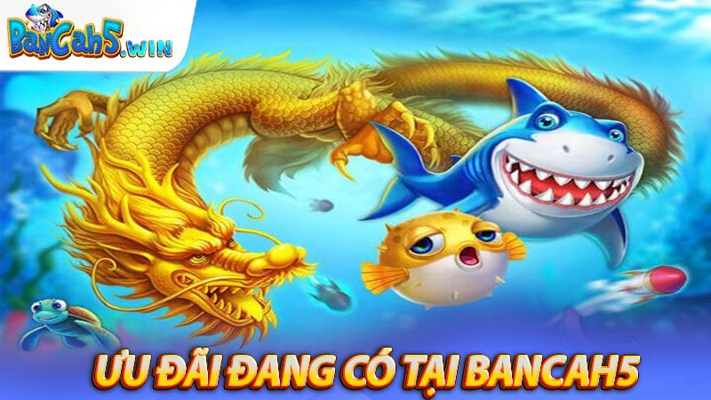 Một số chương trình ưu đãi mà bancah5 dành cho các thành viên