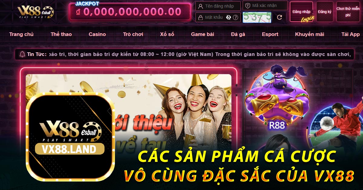 Các sản phẩm cá cược vô cùng đặc sắc của VX88