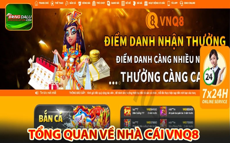 Tổng quan về nhà cái Vnq8