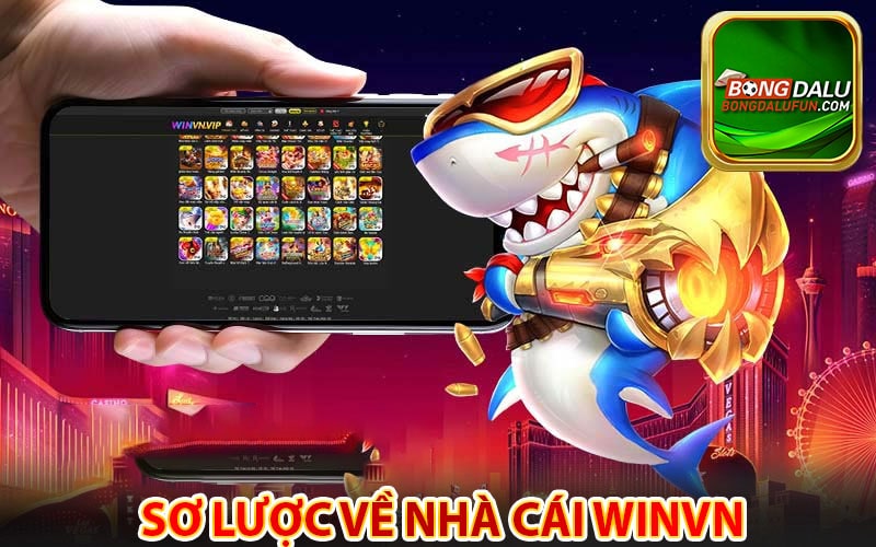 Sơ lược về nhà cái winvn