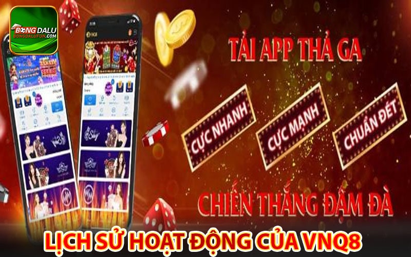 Lịch sử hoạt động của nhà cái vnq8
