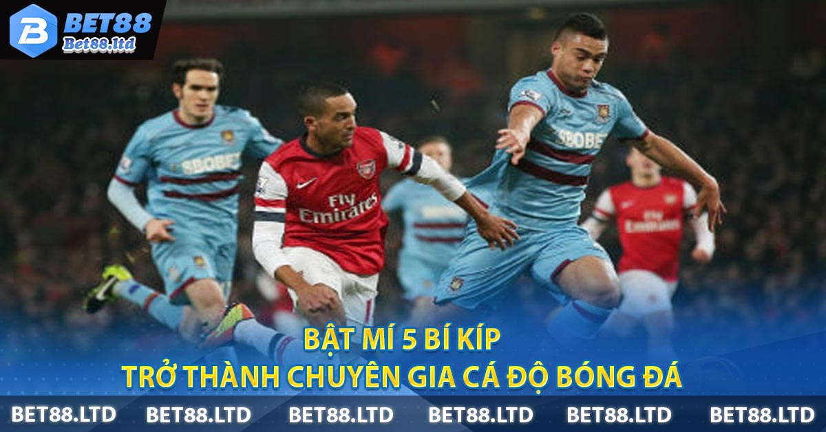 Bật Mí 5 Bí Kíp Trở Thành Chuyên Gia Cá Độ Bóng Đá