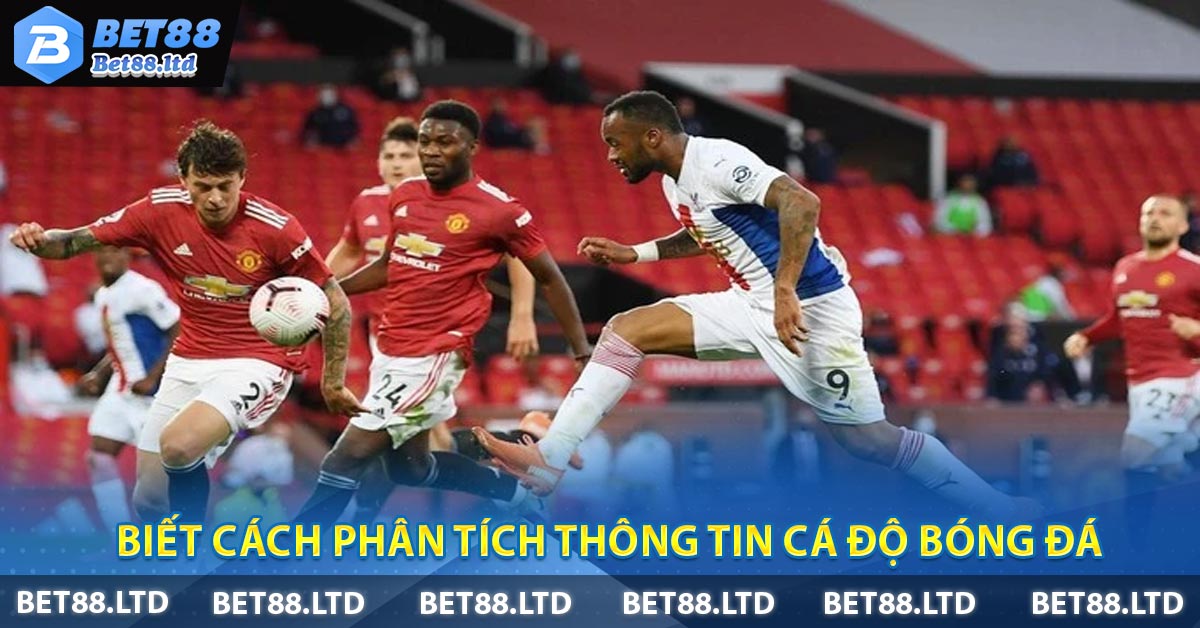 Biết cách phân tích thông tin cá độ bóng đá
