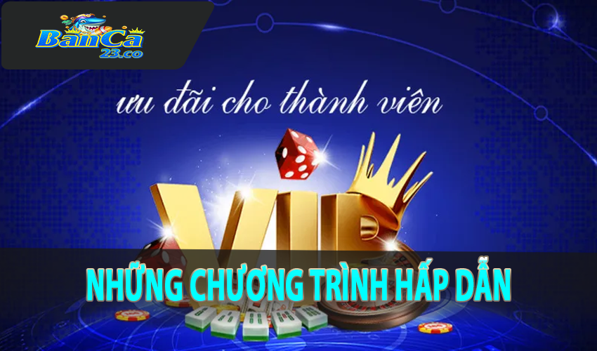 Những Chương Trình Hấp Dẫn Khác