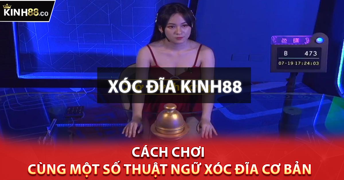 Cách chơi cùng một số thuật ngữ xóc đĩa cơ bản