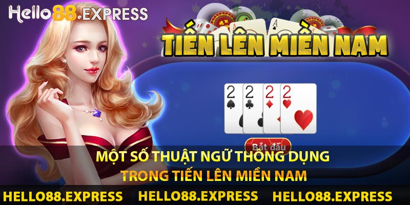 Một số thuật ngữ thông dụng trong Tiến lên miền Nam