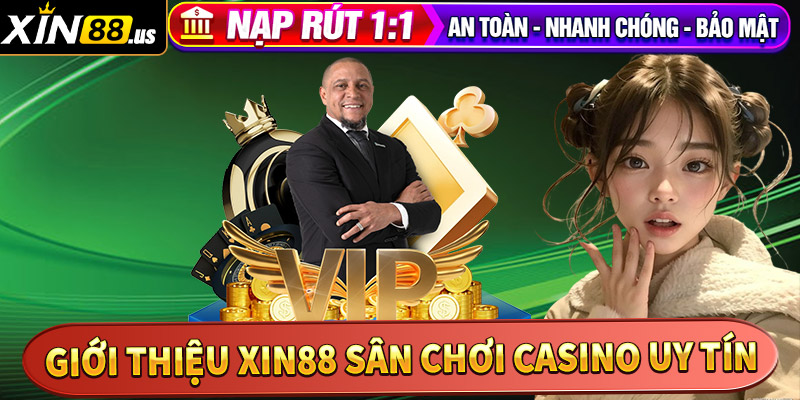 Xin88