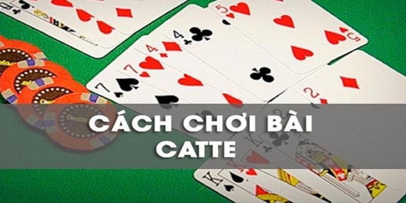 Hướng dẫn chơi bài catte online để newbie dễ hiểu