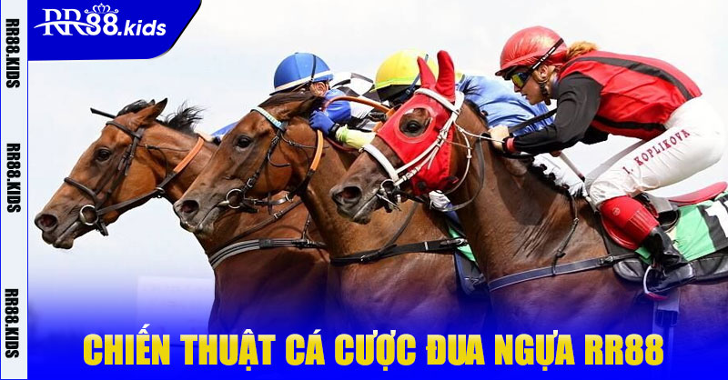 Chiến Thuật Cá Cược Đua Ngựa RR88