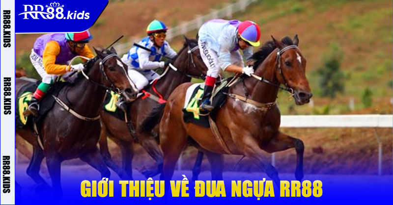 Giới Thiệu Về Đua Ngựa RR88