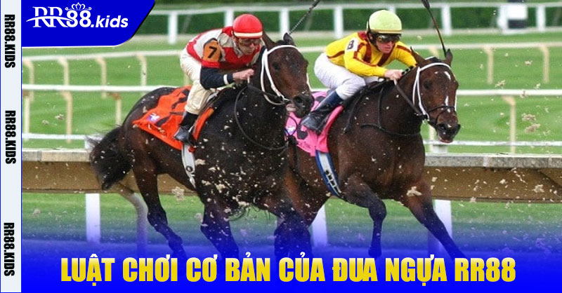 Luật Chơi Cơ Bản Của Đua Ngựa RR88